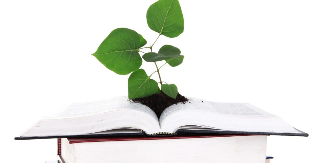 AI時代の必要とされたい願望とどう向き合うか｜行政書士として自分の価値を築く｜Kanade行政書士事務所