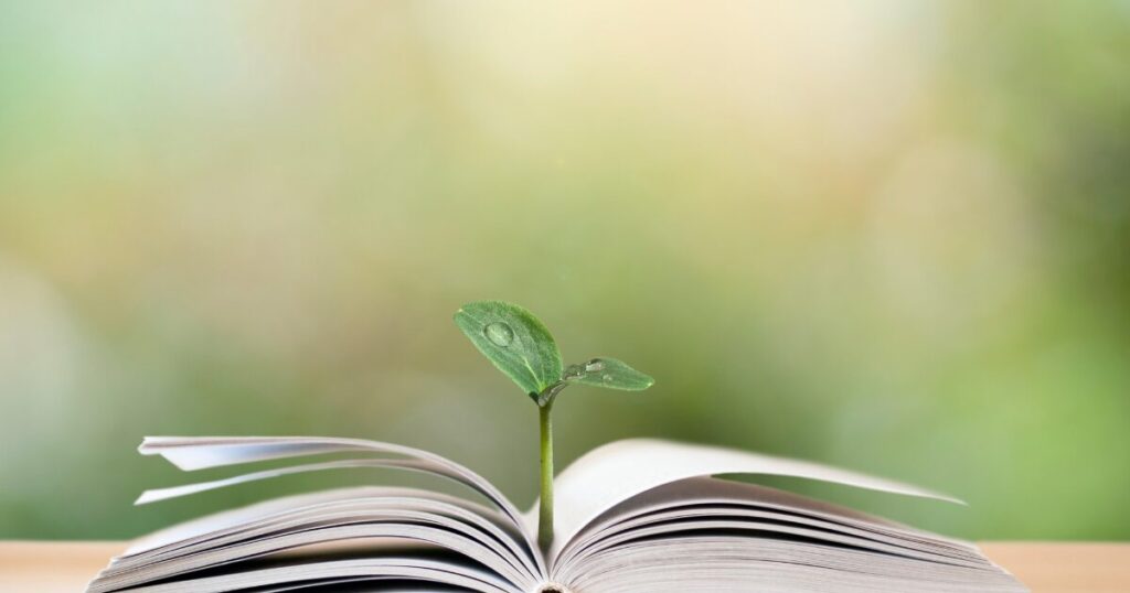 法的に安心を整えるということ｜心の豊かさにつながる終活のすすめ｜Kanade行政書士事務所